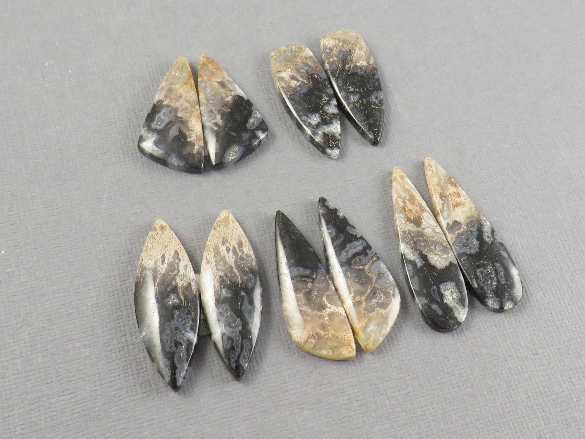 Fossilized Palm Root Cabochons | Per Pair | Indonesia | PRA102 - Gem Enthusiast