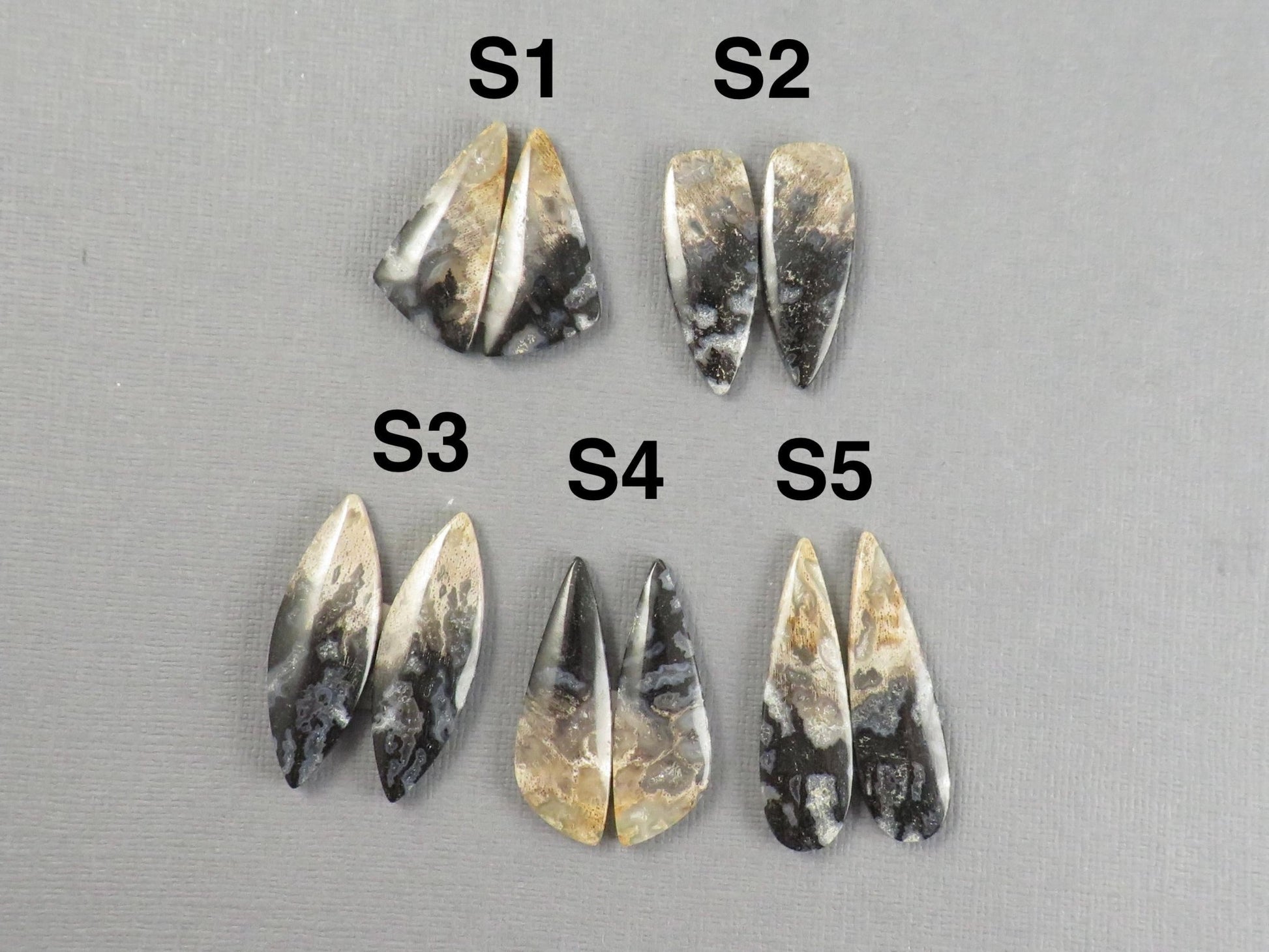 Fossilized Palm Root Cabochons | Per Pair | Indonesia | PRA102 - Gem Enthusiast