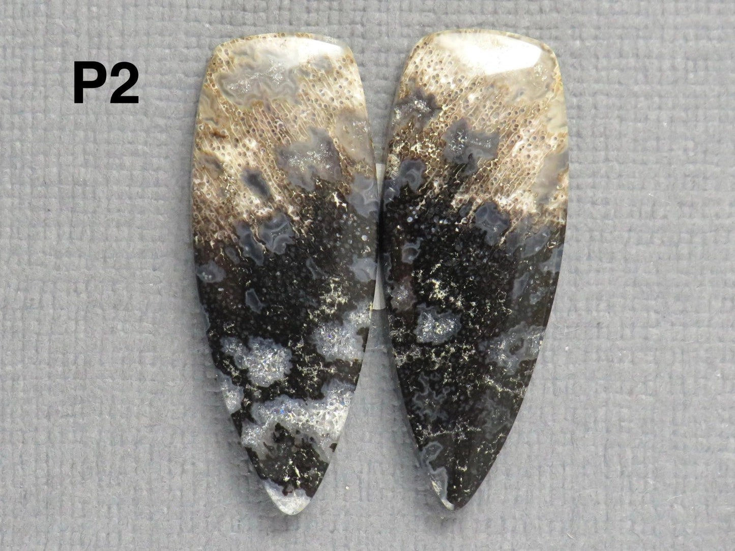 Fossilized Palm Root Cabochons | Per Pair | Indonesia | PRA102 - Gem Enthusiast