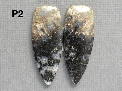 Fossilized Palm Root Cabochons | Per Pair | Indonesia | PRA102 - Gem Enthusiast