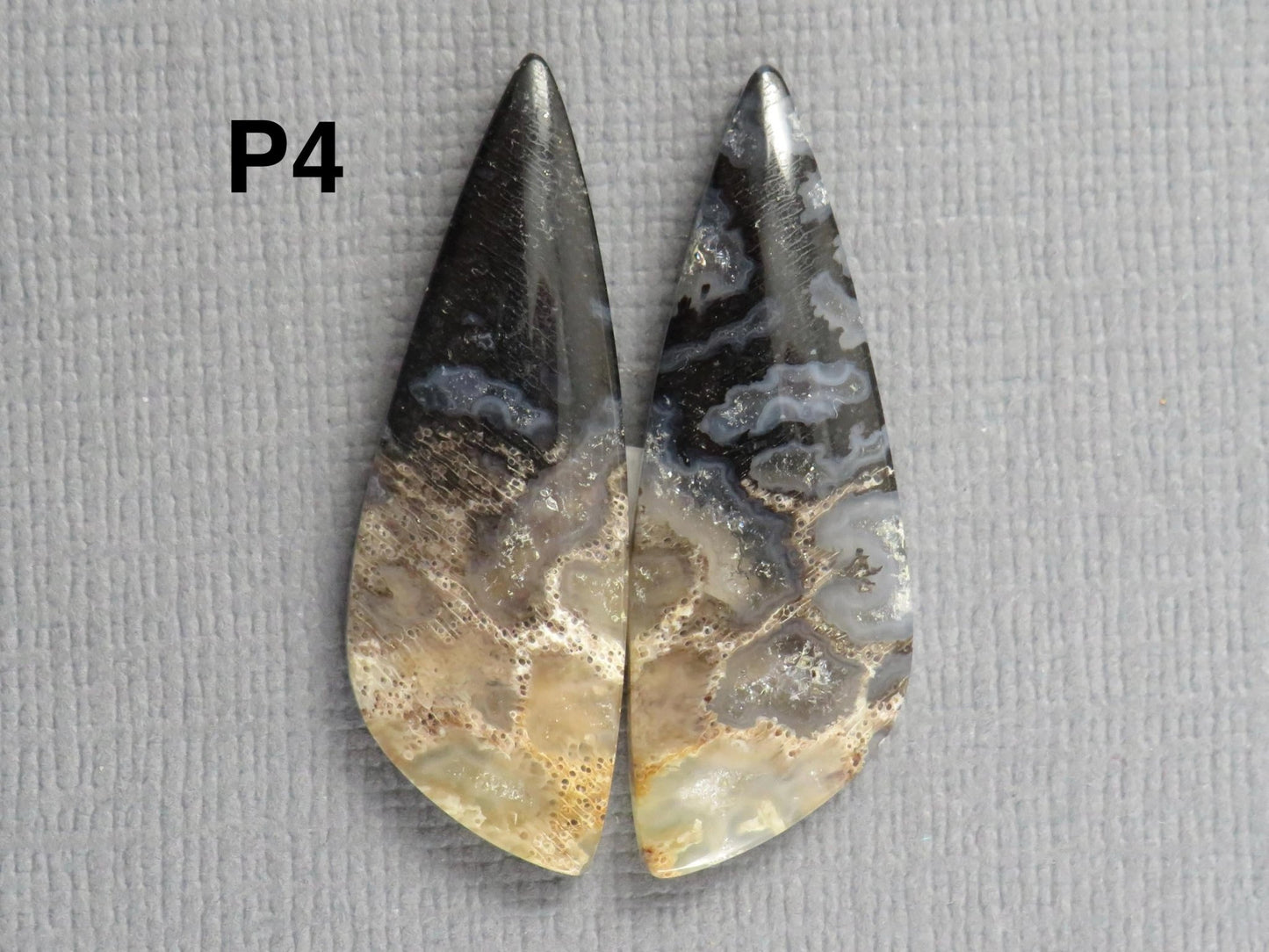 Fossilized Palm Root Cabochons | Per Pair | Indonesia | PRA102 - Gem Enthusiast