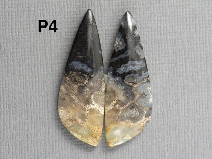 Fossilized Palm Root Cabochons | Per Pair | Indonesia | PRA102 - Gem Enthusiast