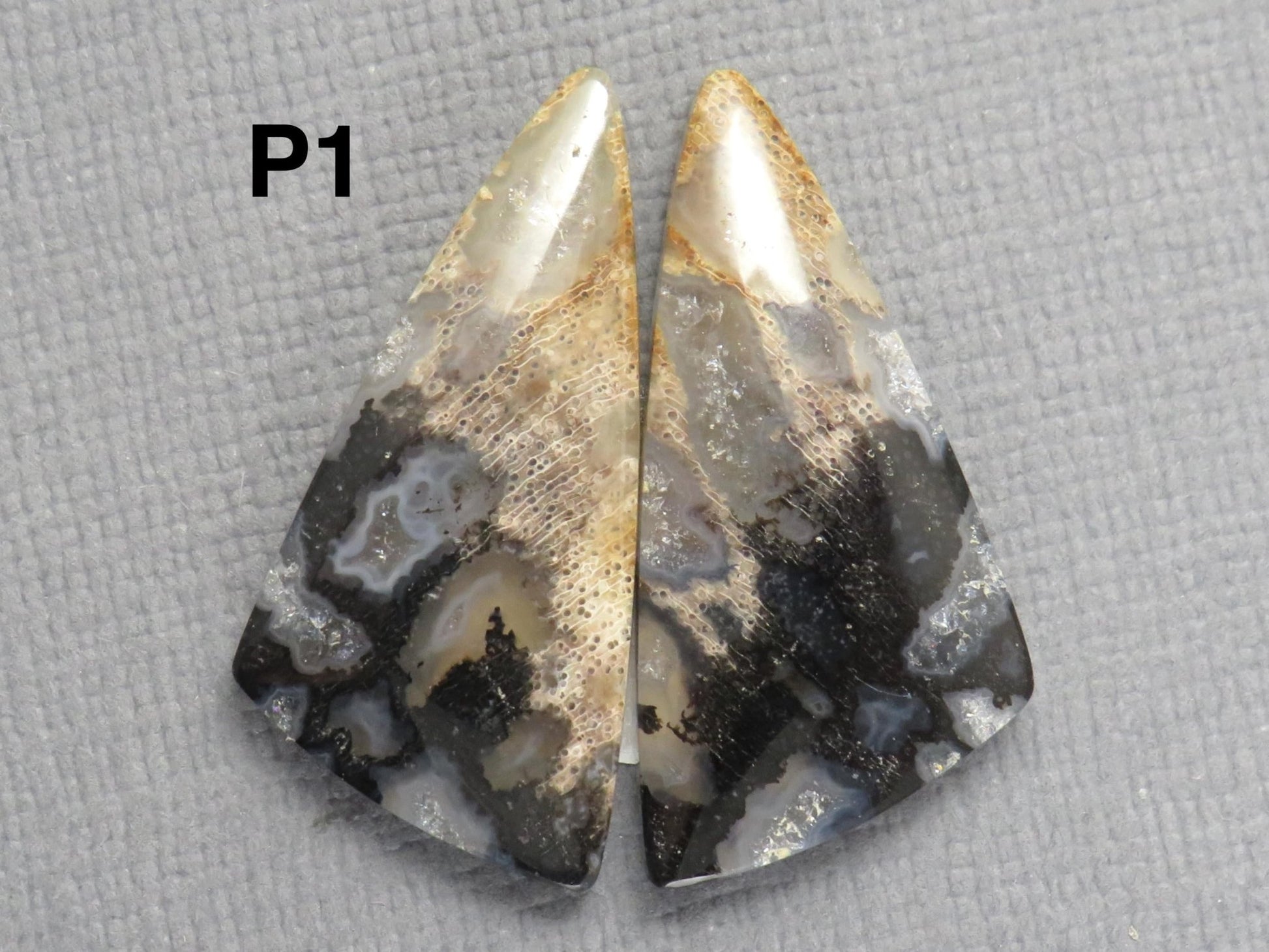 Fossilized Palm Root Cabochons | Per Pair | Indonesia | PRA102 - Gem Enthusiast