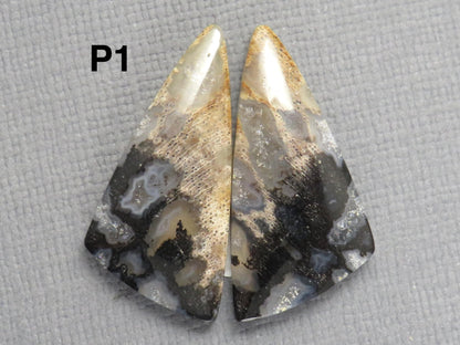Fossilized Palm Root Cabochons | Per Pair | Indonesia | PRA102 - Gem Enthusiast
