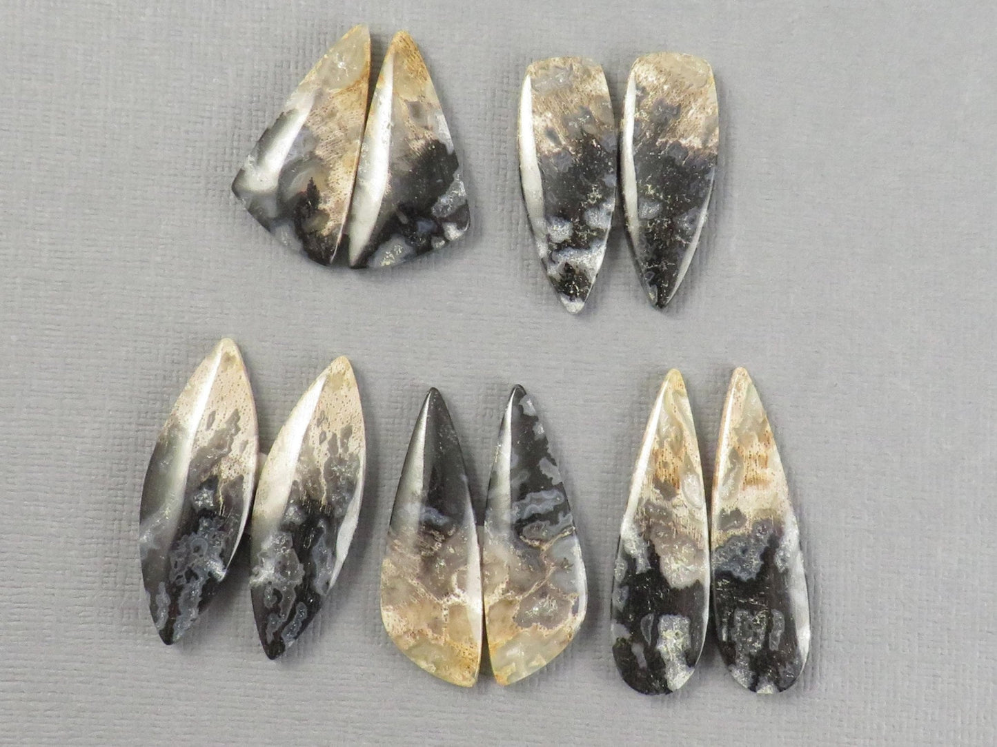Fossilized Palm Root Cabochons | Per Pair | Indonesia | PRA102 - Gem Enthusiast