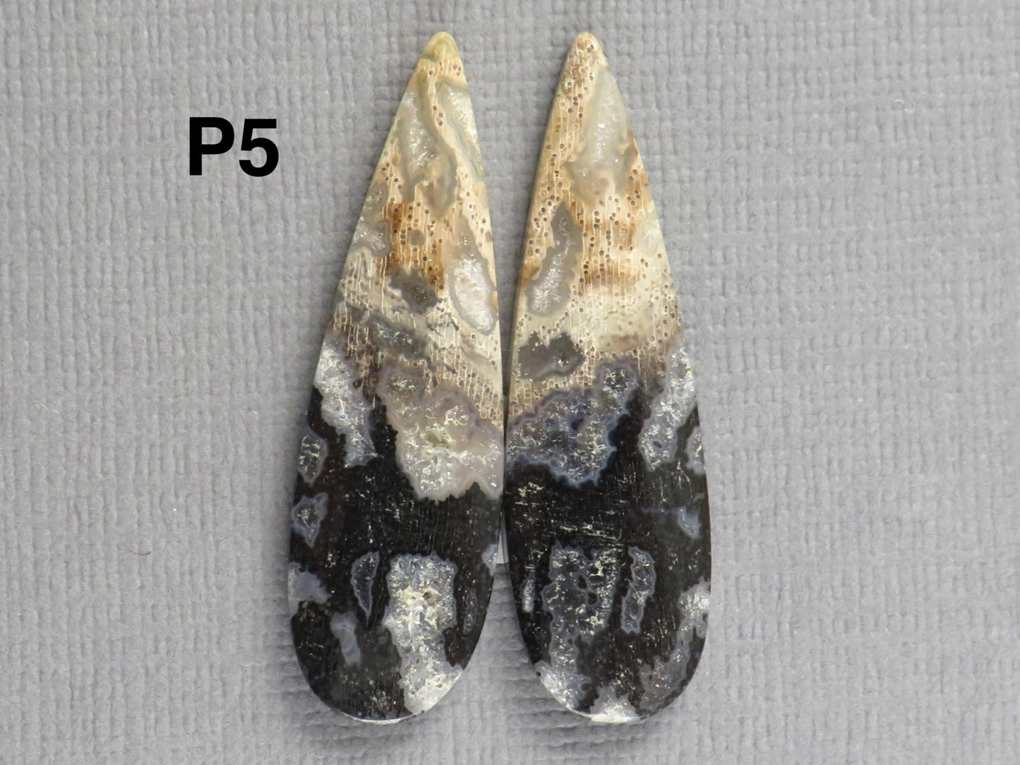 Fossilized Palm Root Cabochons | Per Pair | Indonesia | PRA102 - Gem Enthusiast