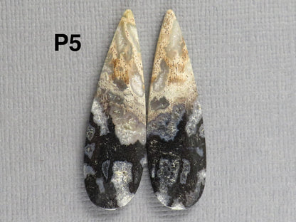Fossilized Palm Root Cabochons | Per Pair | Indonesia | PRA102 - Gem Enthusiast
