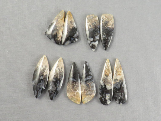 Fossilized Palm Root Cabochons | Per Pair | Indonesia | PRA102 - Gem Enthusiast