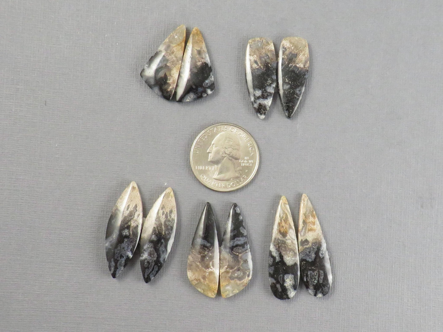 Fossilized Palm Root Cabochons | Per Pair | Indonesia | PRA102 - Gem Enthusiast