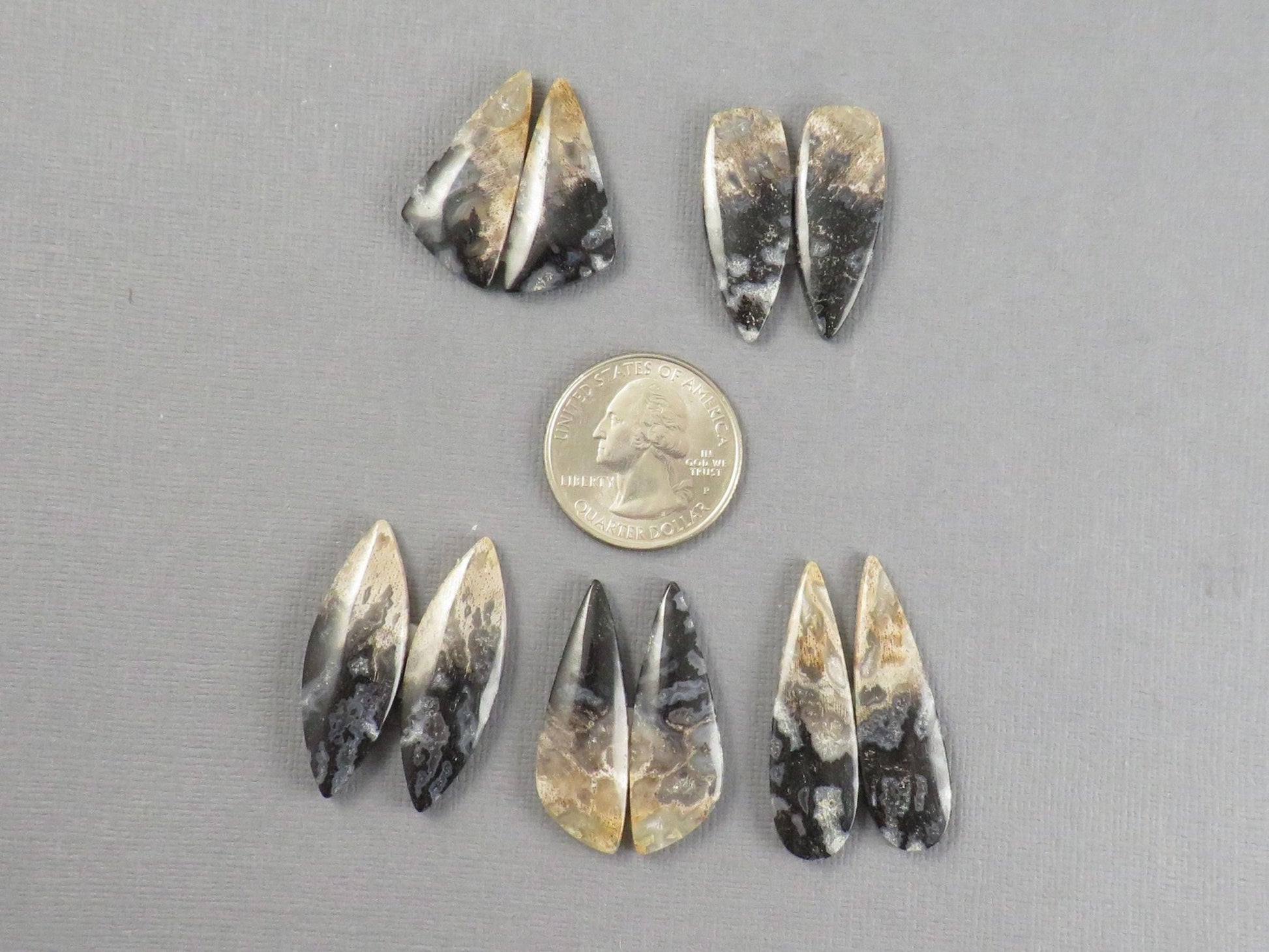 Fossilized Palm Root Cabochons | Per Pair | Indonesia | PRA102 - Gem Enthusiast