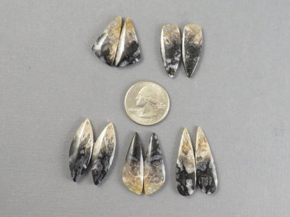 Fossilized Palm Root Cabochons | Per Pair | Indonesia | PRA102 - Gem Enthusiast