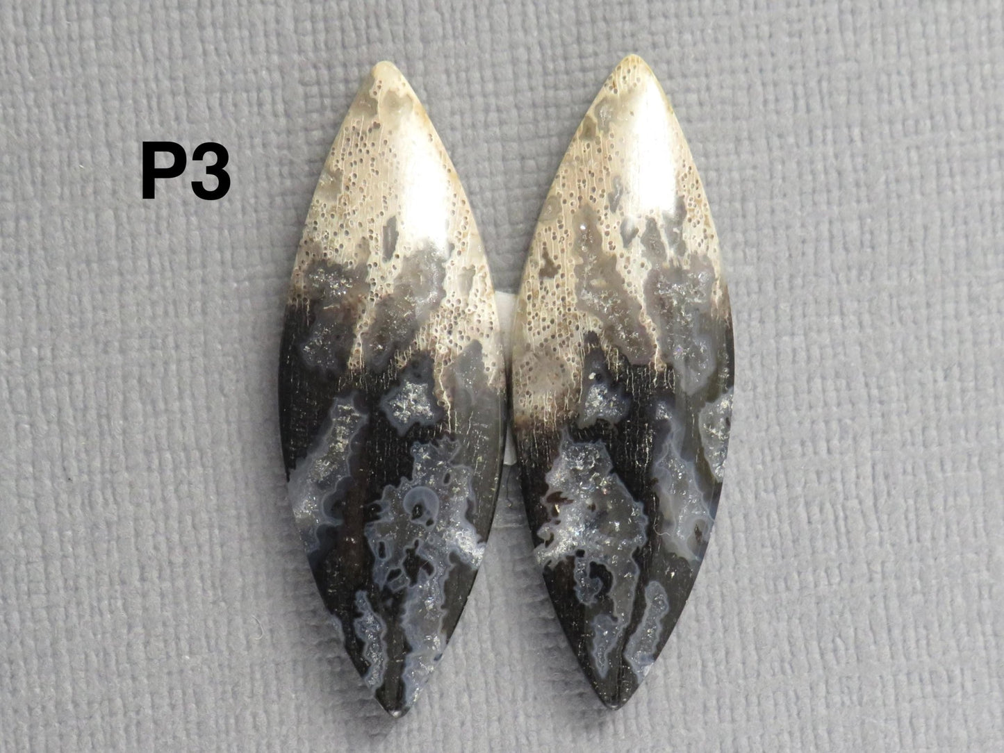 Fossilized Palm Root Cabochons | Per Pair | Indonesia | PRA102 - Gem Enthusiast
