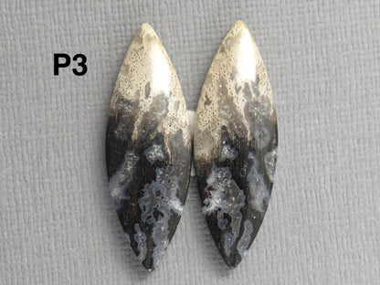 Fossilized Palm Root Cabochons | Per Pair | Indonesia | PRA102 - Gem Enthusiast