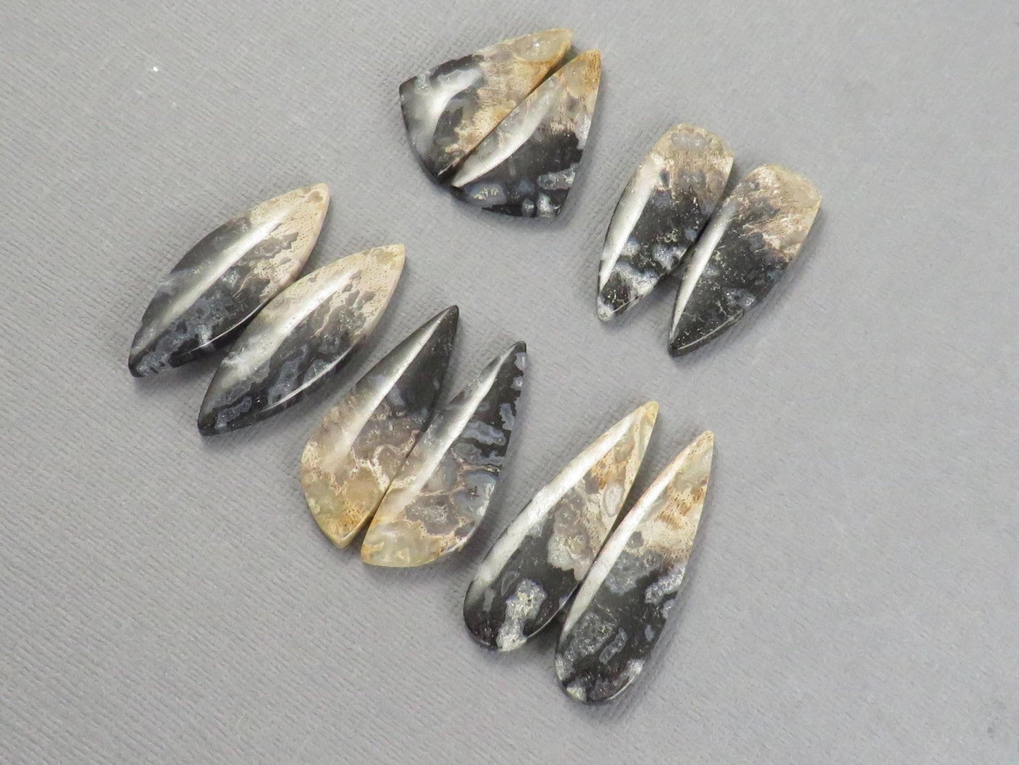 Fossilized Palm Root Cabochons | Per Pair | Indonesia | PRA102 - Gem Enthusiast