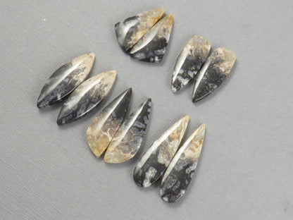Fossilized Palm Root Cabochons | Per Pair | Indonesia | PRA102 - Gem Enthusiast