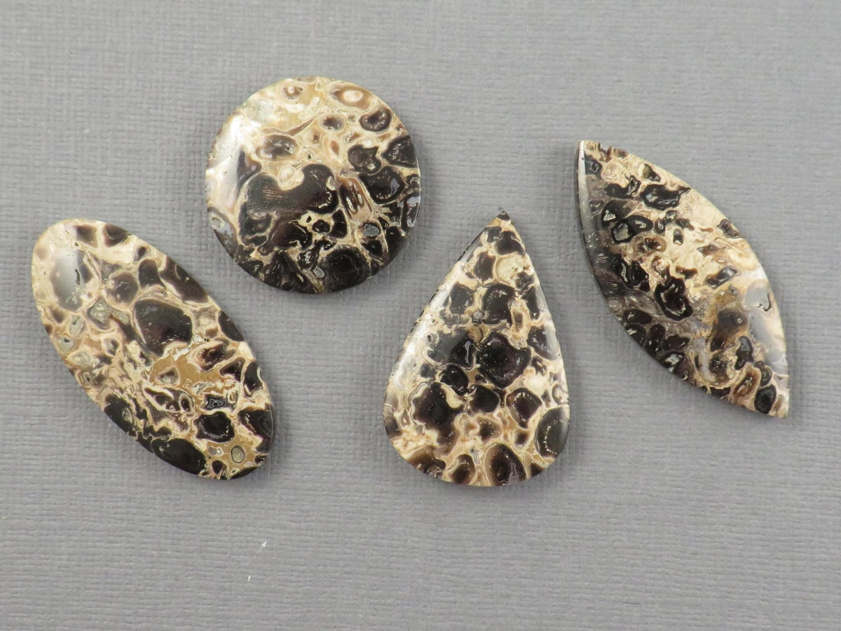 Fossilized Palm Root Jasper Cabochons, Black and Tan, 4 Stone Lot | PRA110 - Gem Enthusiast