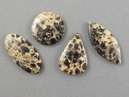 Fossilized Palm Root Jasper Cabochons, Black and Tan, 4 Stone Lot | PRA110 - Gem Enthusiast