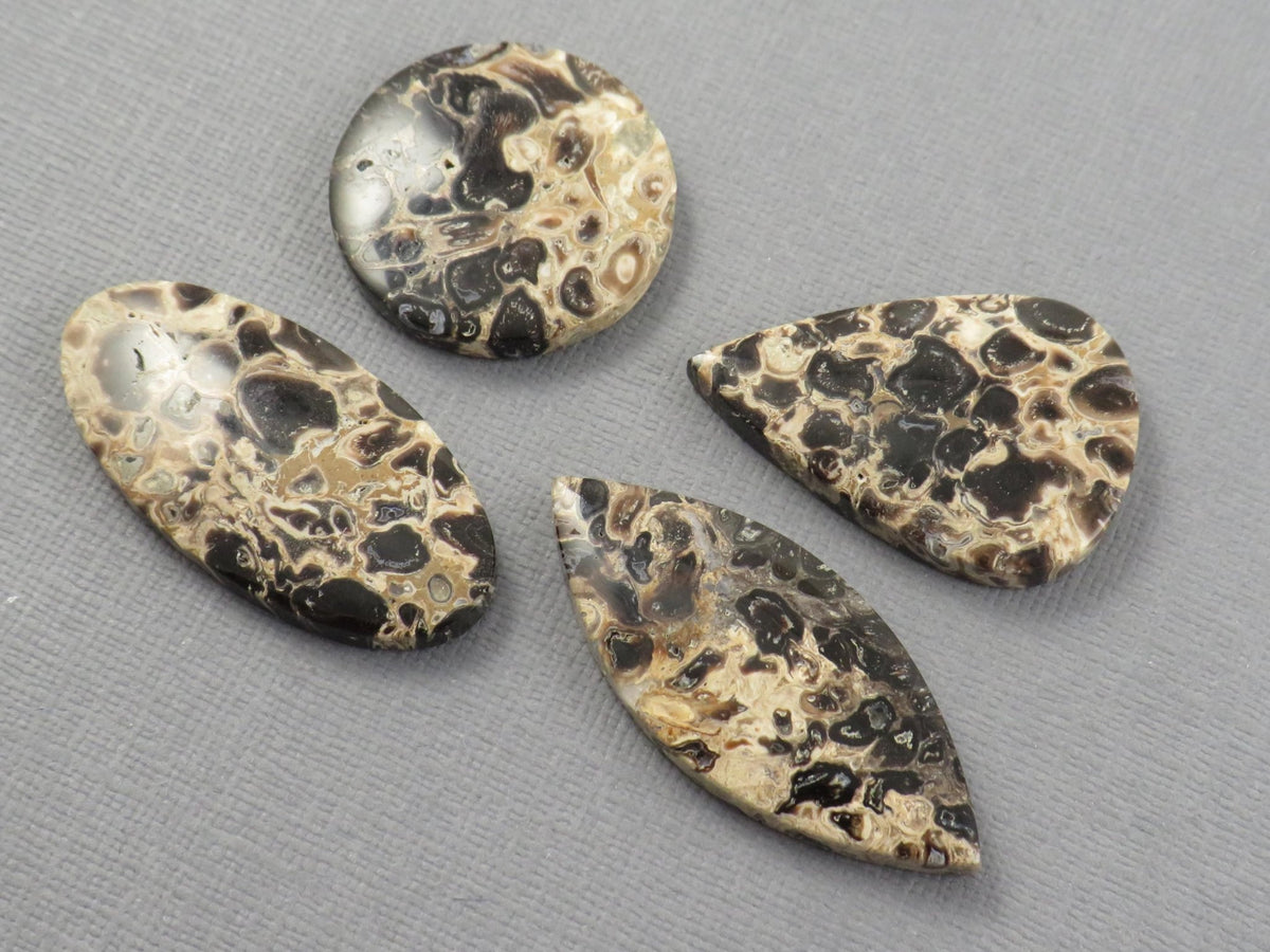 Fossilized Palm Root Jasper Cabochons, Black and Tan, 4 Stone Lot | PRA110 - Gem Enthusiast