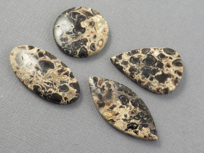 Fossilized Palm Root Jasper Cabochons, Black and Tan, 4 Stone Lot | PRA110 - Gem Enthusiast