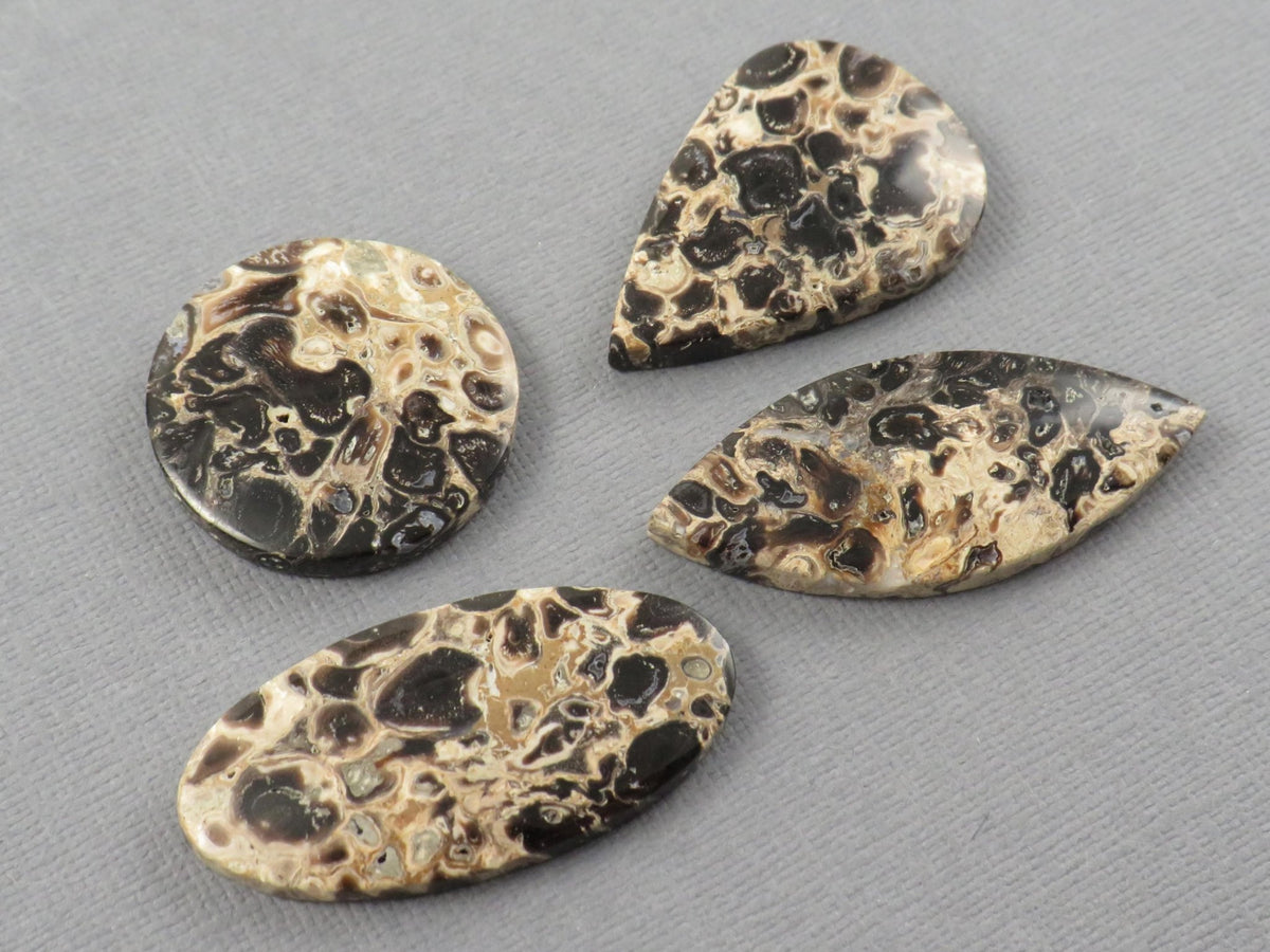 Fossilized Palm Root Jasper Cabochons, Black and Tan, 4 Stone Lot | PRA110 - Gem Enthusiast