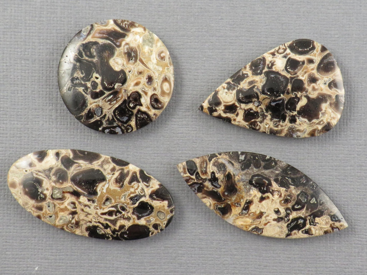 Fossilized Palm Root Jasper Cabochons, Black and Tan, 4 Stone Lot | PRA110 - Gem Enthusiast