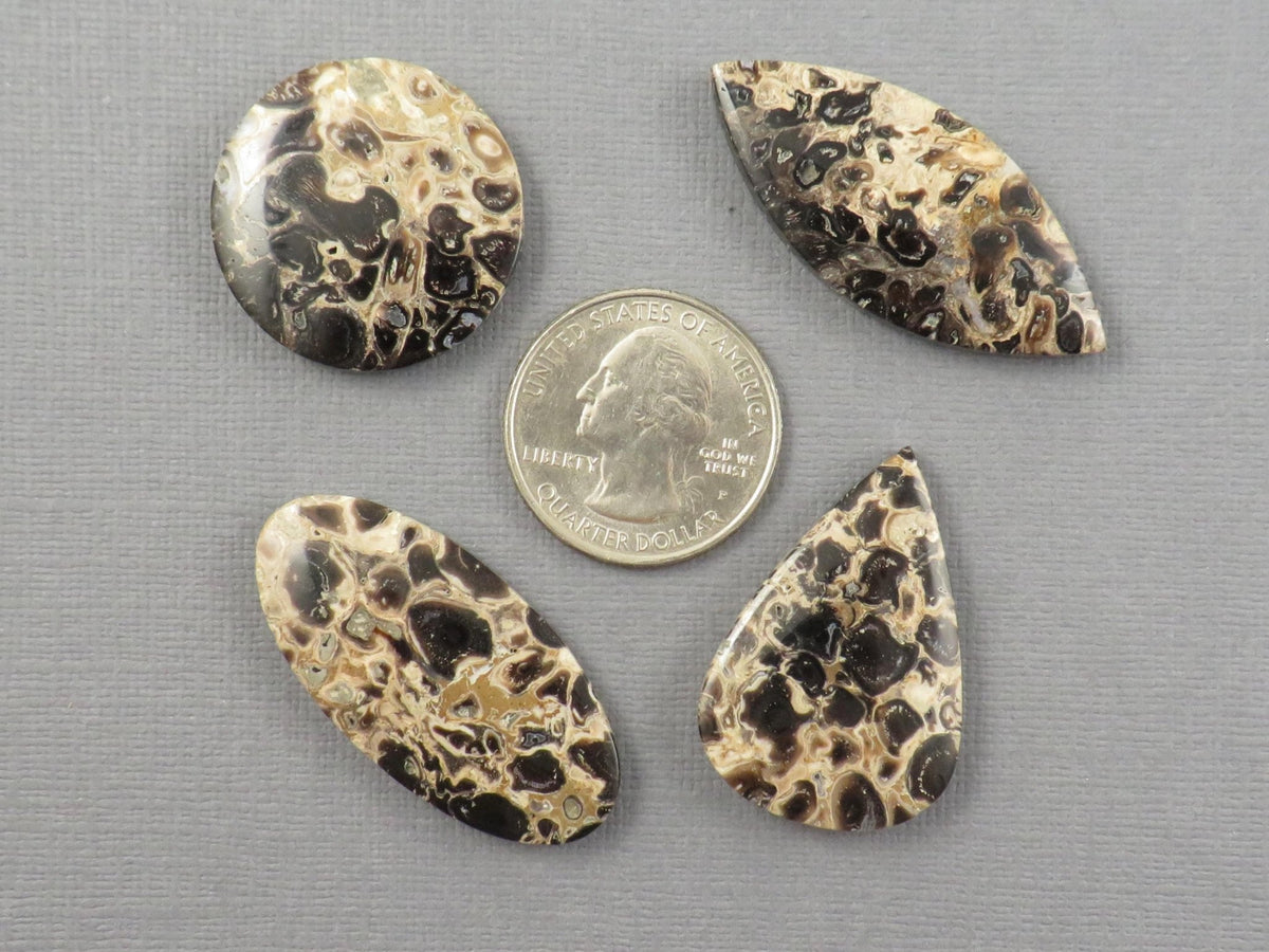 Fossilized Palm Root Jasper Cabochons, Black and Tan, 4 Stone Lot | PRA110 - Gem Enthusiast