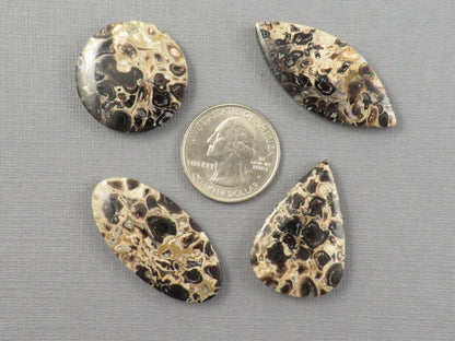 Fossilized Palm Root Jasper Cabochons, Black and Tan, 4 Stone Lot | PRA110 - Gem Enthusiast