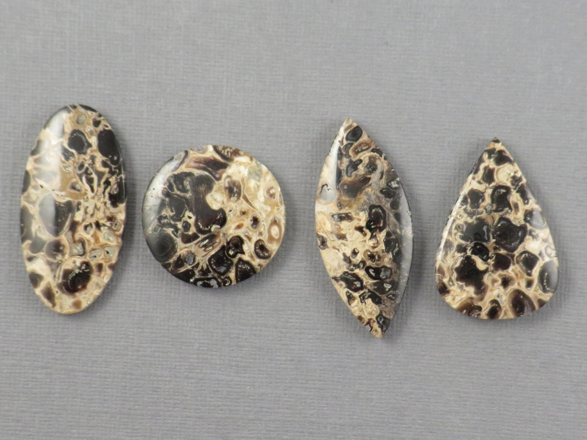 Fossilized Palm Root Jasper Cabochons, Black and Tan, 4 Stone Lot | PRA110 - Gem Enthusiast