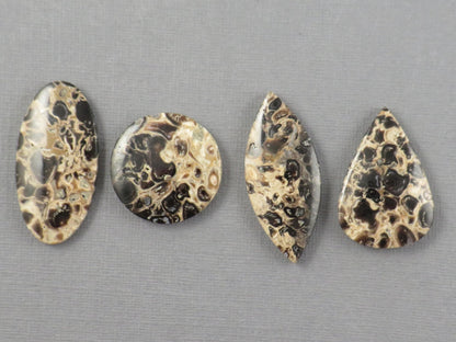 Fossilized Palm Root Jasper Cabochons, Black and Tan, 4 Stone Lot | PRA110 - Gem Enthusiast