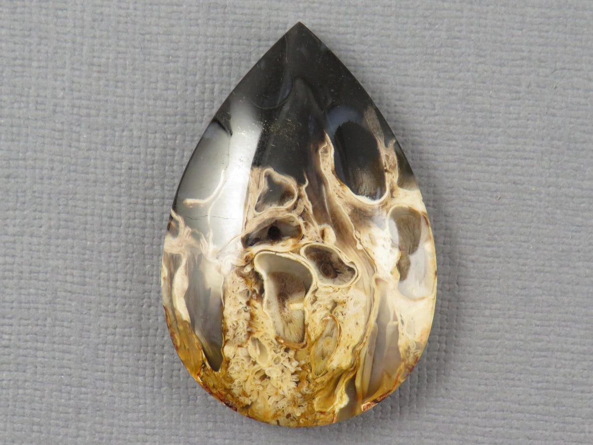 Fossilized Palm Root Pear Cabochon | Flame Palm Root | 37x25mm, 48ct | Indonesia | PRF101 - Gem Enthusiast