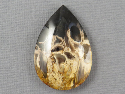 Fossilized Palm Root Pear Cabochon | Flame Palm Root | 37x25mm, 48ct | Indonesia | PRF101 - Gem Enthusiast