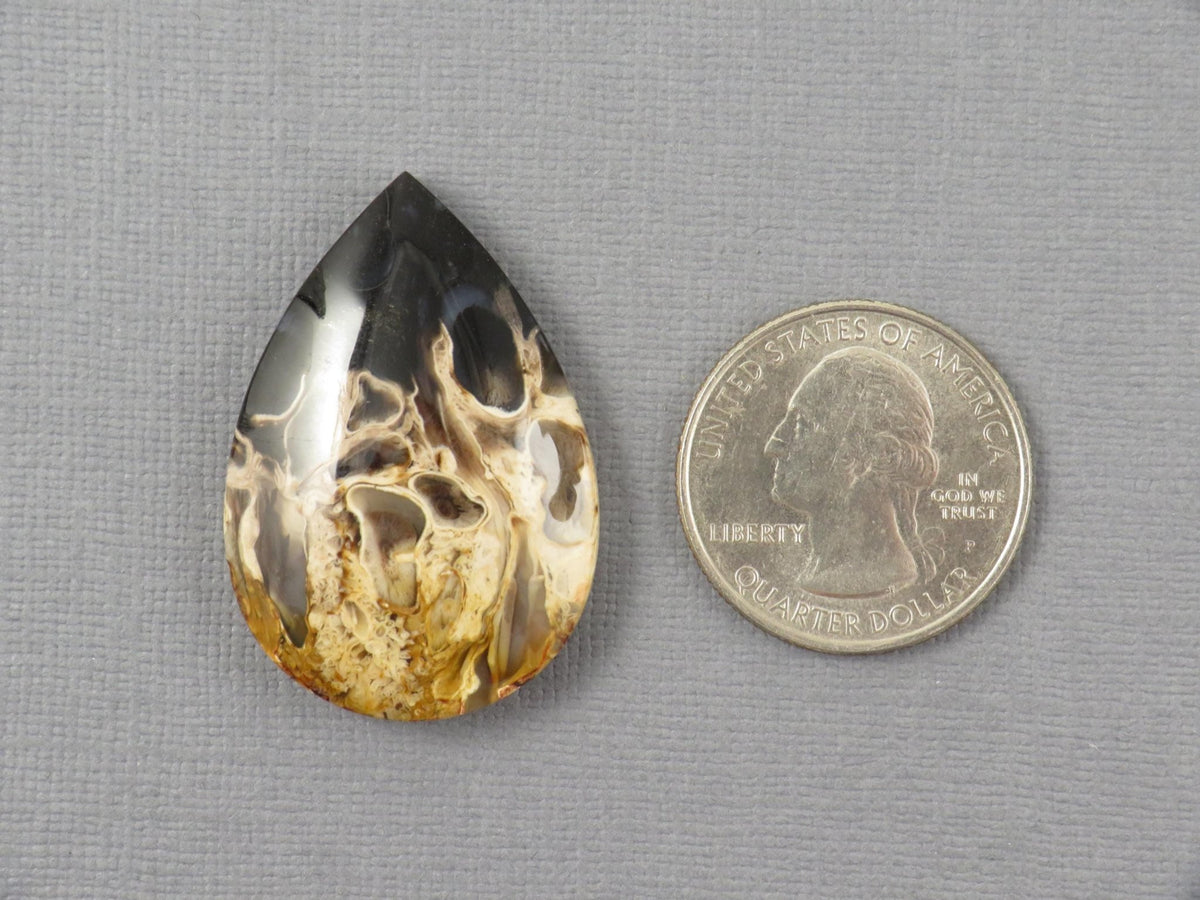 Fossilized Palm Root Pear Cabochon | Flame Palm Root | 37x25mm, 48ct | Indonesia | PRF101 - Gem Enthusiast