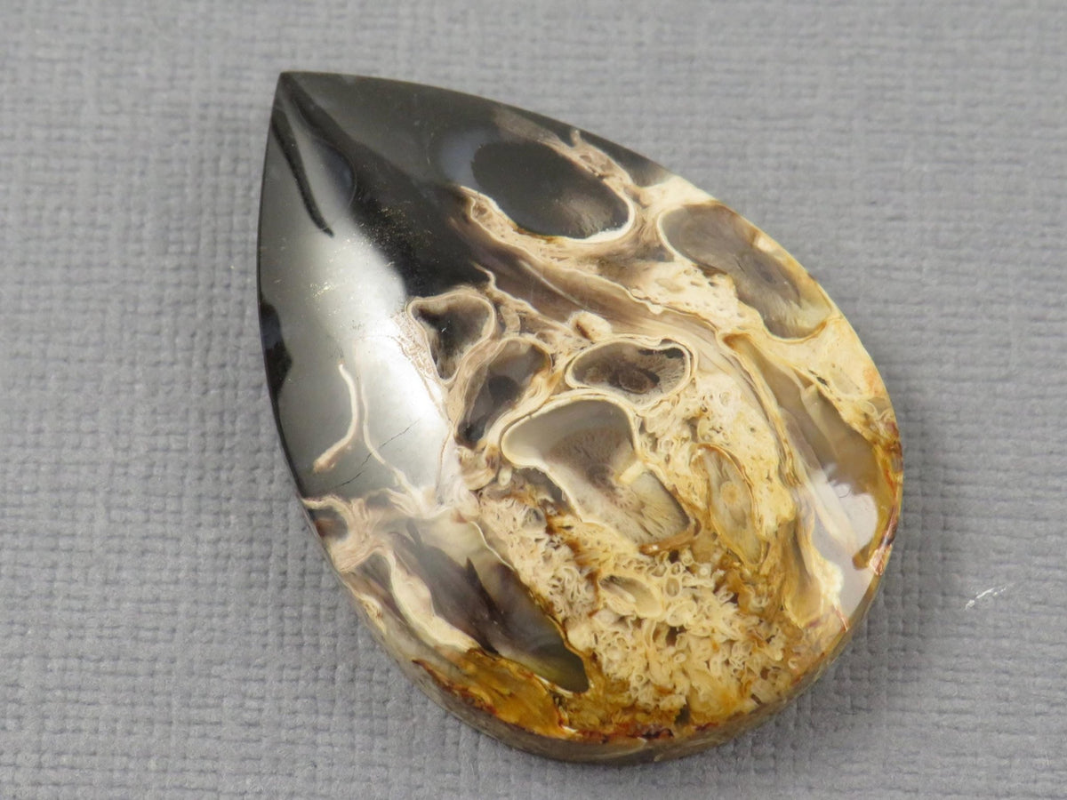 Fossilized Palm Root Pear Cabochon | Flame Palm Root | 37x25mm, 48ct | Indonesia | PRF101 - Gem Enthusiast