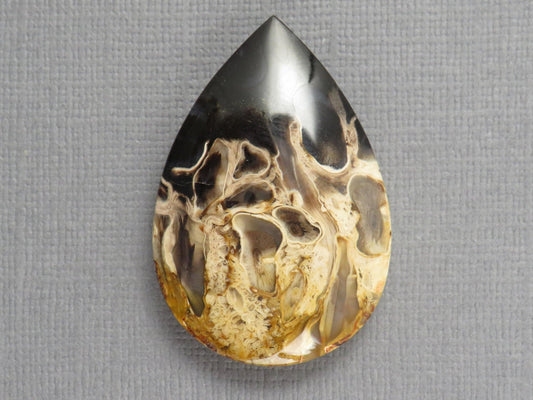 Fossilized Palm Root Pear Cabochon | Flame Palm Root | 37x25mm, 48ct | Indonesia | PRF101 - Gem Enthusiast