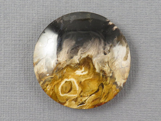 Fossilized Palm Root Round Cabochon | Flame Palm Root | 30x30mm, 48.4ct | Indonesia | PRF100 - Gem Enthusiast