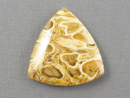 Golden Yellow Fossil Palm Root Trillion Cabochon | Pendant Stone | 32x32mm, 45ct | Indonesia | PRA124 - Gem Enthusiast