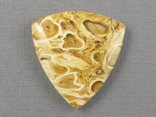 Golden Yellow Fossil Palm Root Trillion Cabochon | Pendant Stone | 32x32mm, 45ct | Indonesia | PRA124 - Gem Enthusiast