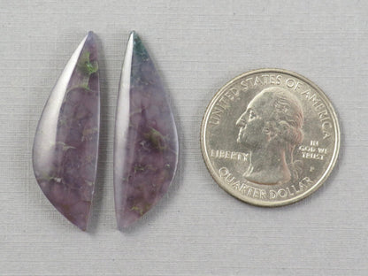 Grape Agate Cabochon Freeform | 35x11.5mm, 21.3ct | Per Pair | Indonesia | AG380 - Gem Enthusiast