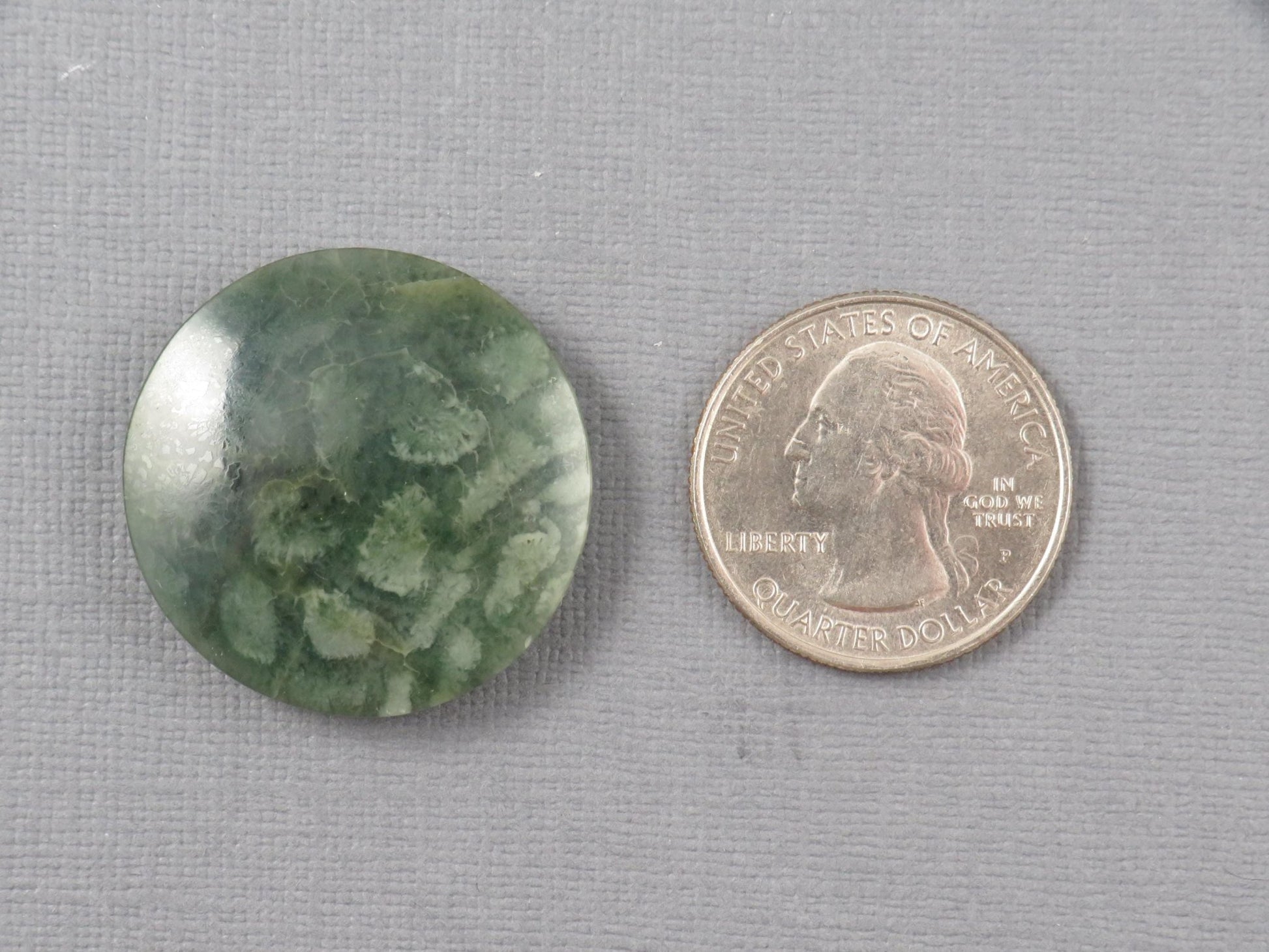 Green Fossil Coral Round Cabochon | 29.5x29.5mm, 40ct | Indonesia | FC112 - Gem Enthusiast