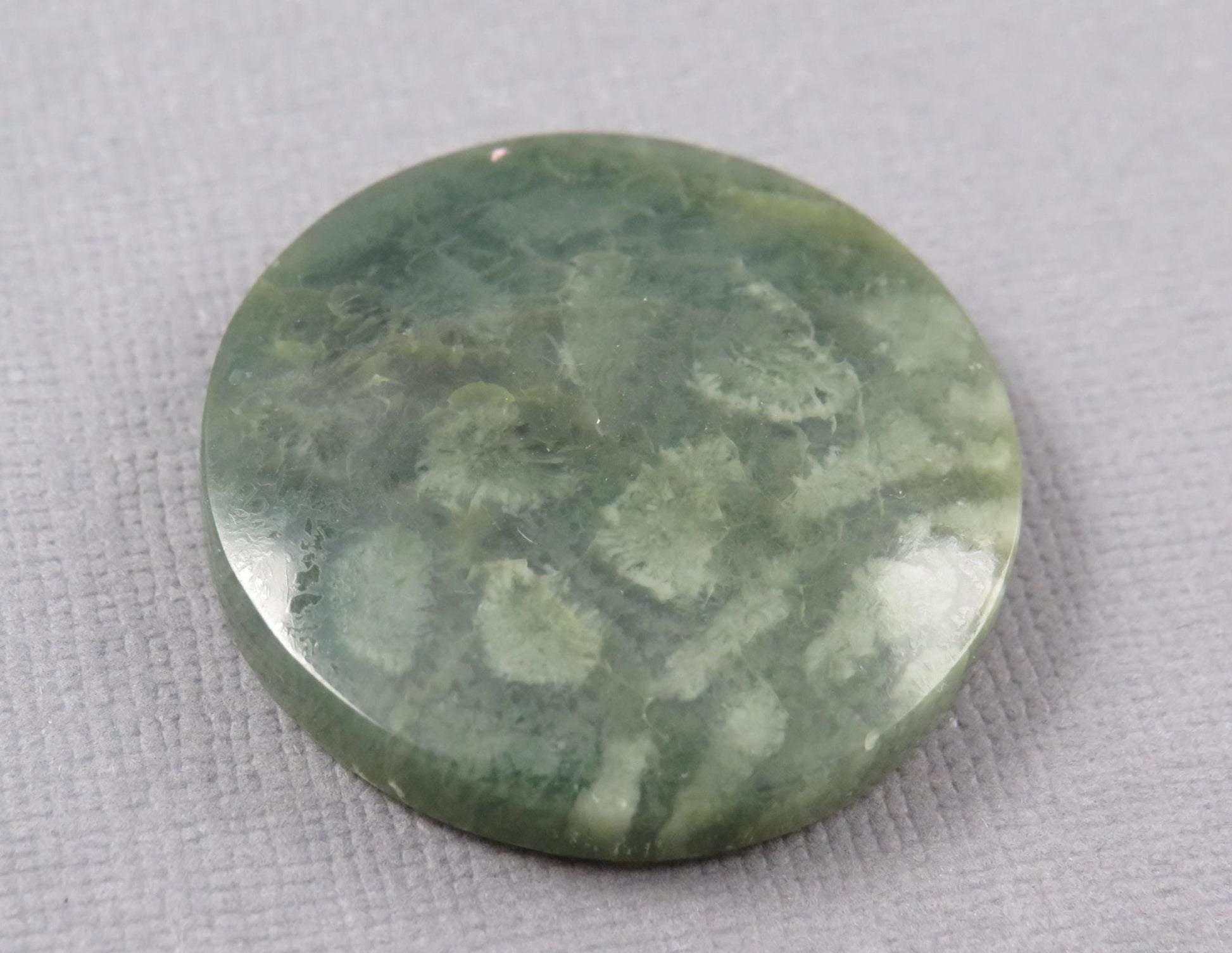 Green Fossil Coral Round Cabochon | 29.5x29.5mm, 40ct | Indonesia | FC112 - Gem Enthusiast