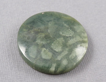 Green Fossil Coral Round Cabochon | 29.5x29.5mm, 40ct | Indonesia | FC112 - Gem Enthusiast