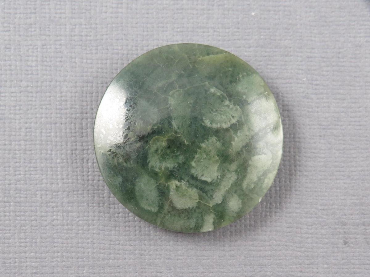 Green Fossil Coral Round Cabochon | 29.5x29.5mm, 40ct | Indonesia | FC112 - Gem Enthusiast
