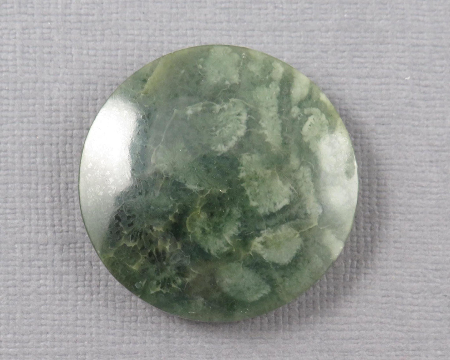 Green Fossil Coral Round Cabochon | 29.5x29.5mm, 40ct | Indonesia | FC112 - Gem Enthusiast