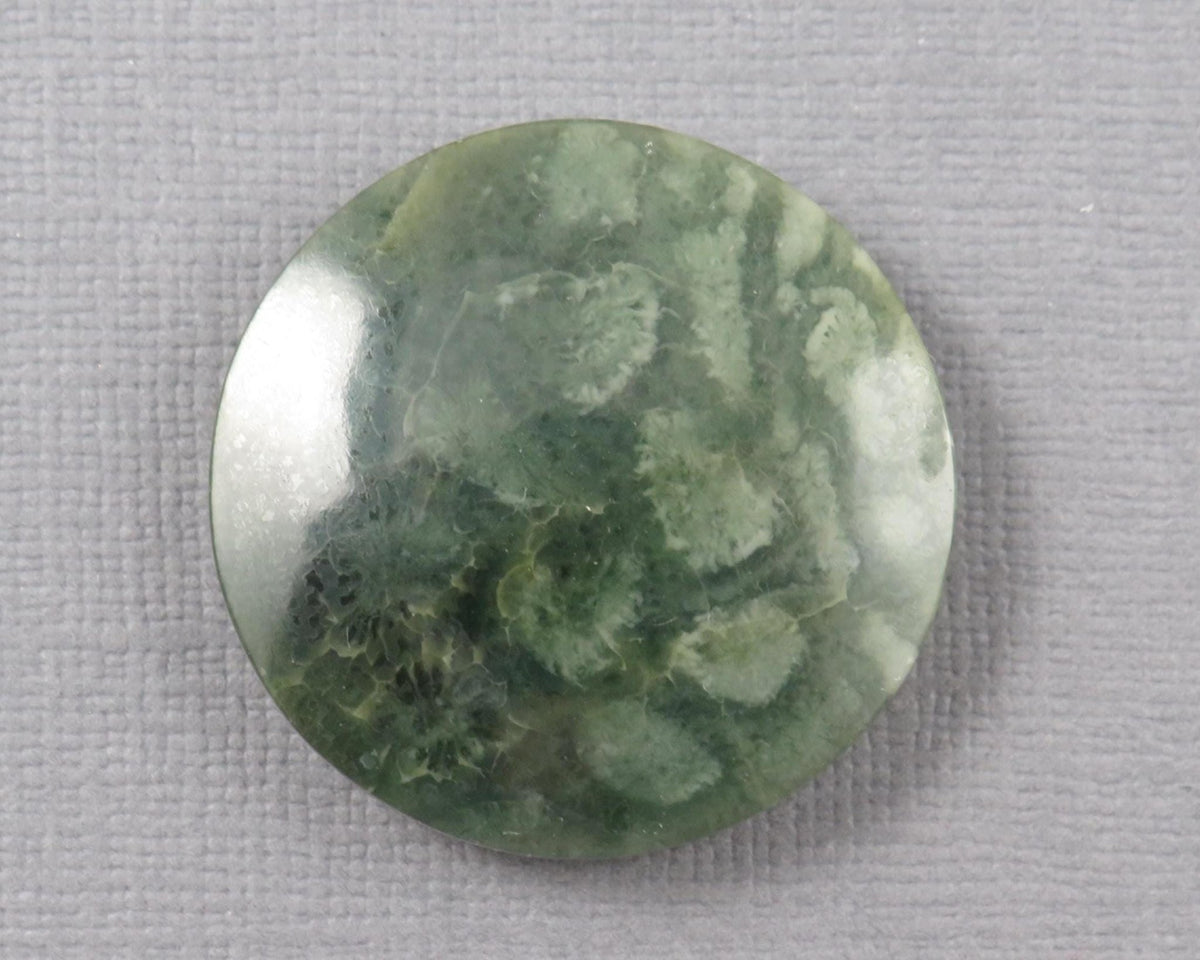 Green Fossil Coral Round Cabochon | 29.5x29.5mm, 40ct | Indonesia | FC112 - Gem Enthusiast