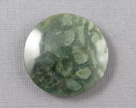 Green Fossil Coral Round Cabochon | 29.5x29.5mm, 40ct | Indonesia | FC112 - Gem Enthusiast