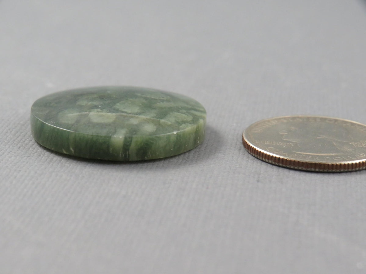 Green Fossil Coral Round Cabochon | 29.5x29.5mm, 40ct | Indonesia | FC112 - Gem Enthusiast