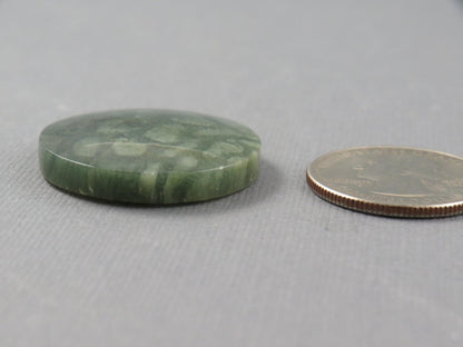 Green Fossil Coral Round Cabochon | 29.5x29.5mm, 40ct | Indonesia | FC112 - Gem Enthusiast
