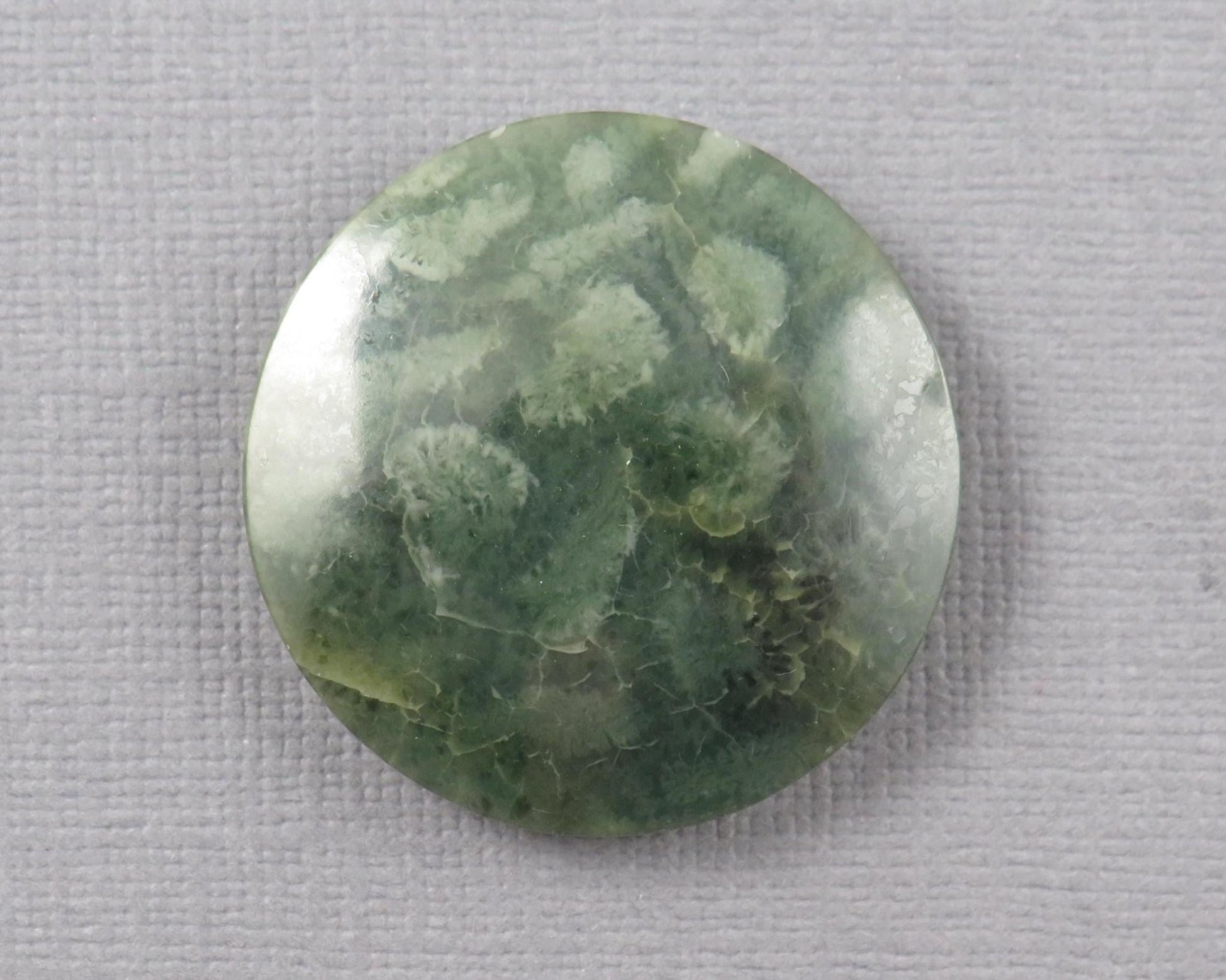 Green Fossil Coral Round Cabochon | 29.5x29.5mm, 40ct | Indonesia | FC112 - Gem Enthusiast