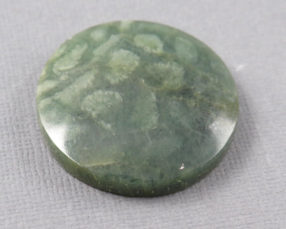Green Fossil Coral Round Cabochon | 29.5x29.5mm, 40ct | Indonesia | FC112 - Gem Enthusiast