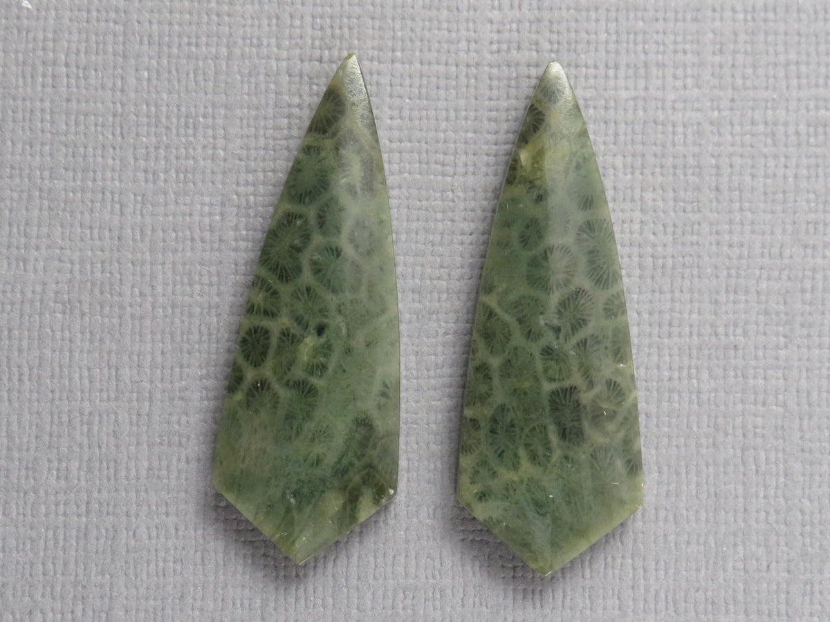 Green Fossil Coral Shield Pair | Pendant Stone | 36x13mm, 26ct | FC118 - Gem Enthusiast